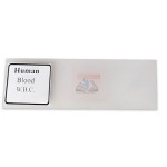 Human Blood W.B.C Slide